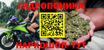 кокс Гагарин