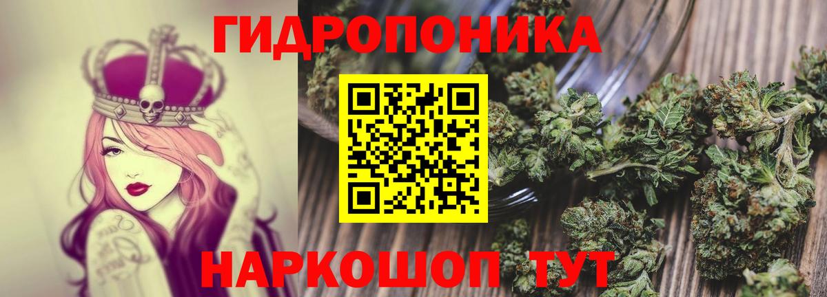 Канабис Изобильный
